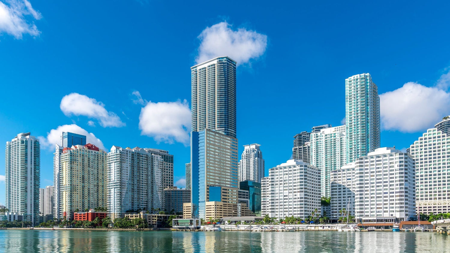 Top 7 Places to Play Padel in Miami (2025 Edition)